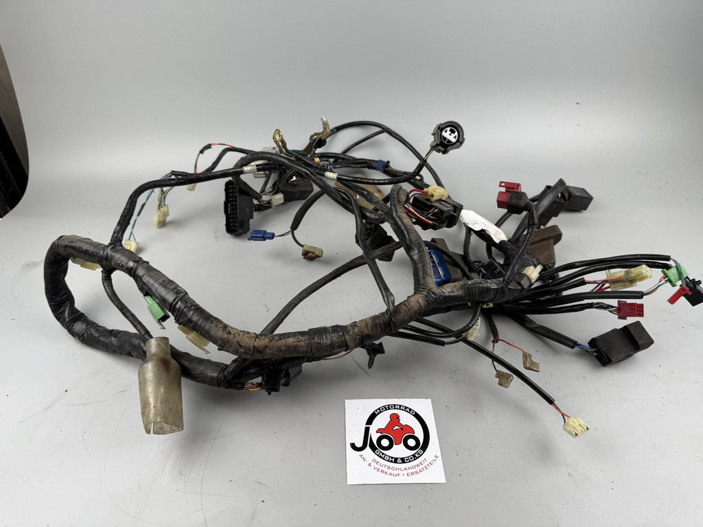 Honda VFR800 RC46 FI Kabelbaum Cable Stecker Electrik