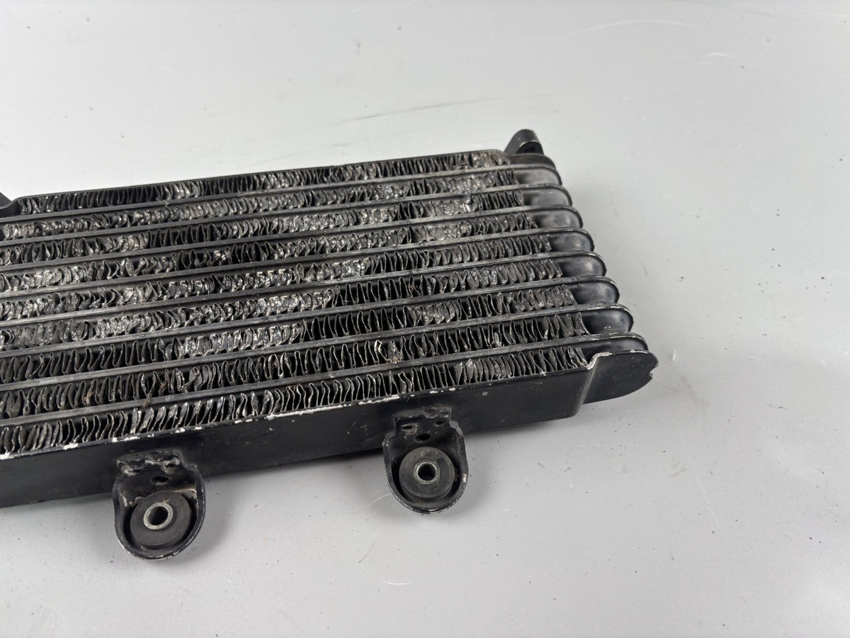 Suzuki GSF600 GN77B Ölkühler Oilcooler Kühlung Cooler