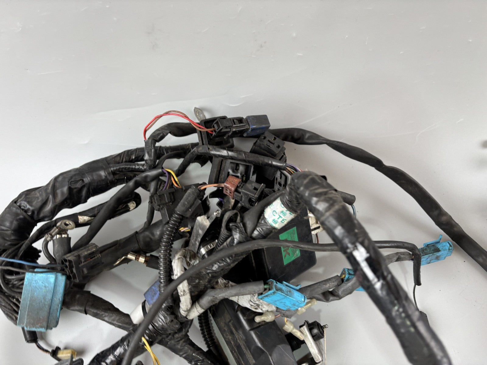 Triumph Daytona 955 T 595 Kabelbaum Cable Stecker Electric