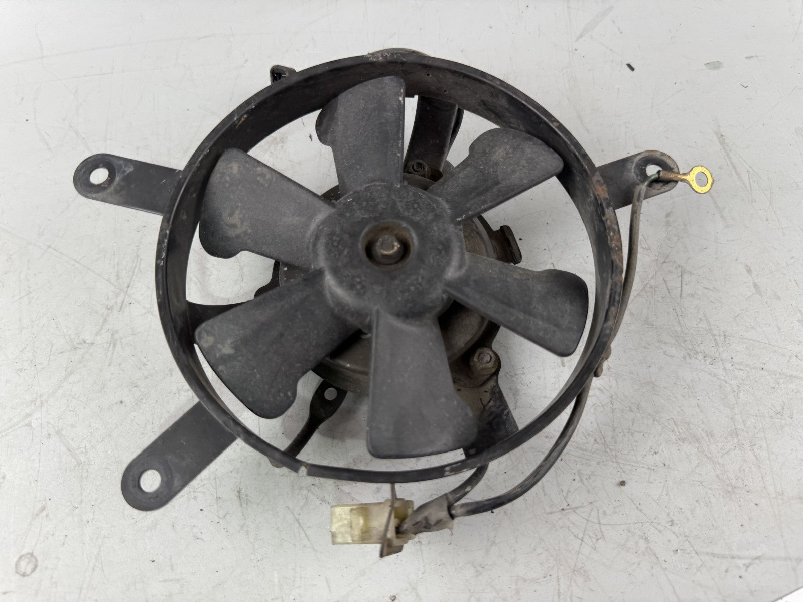 Honda NTV650 revere RC33 Ventilator Kühler Lüfter Lüftung