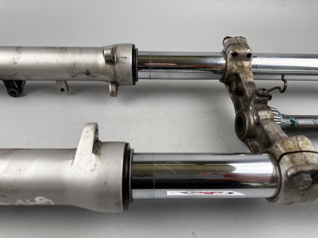 Suzuki GSF600 GN77B Bandit Gabel Tauchrohr Standrohr Fork Federung front