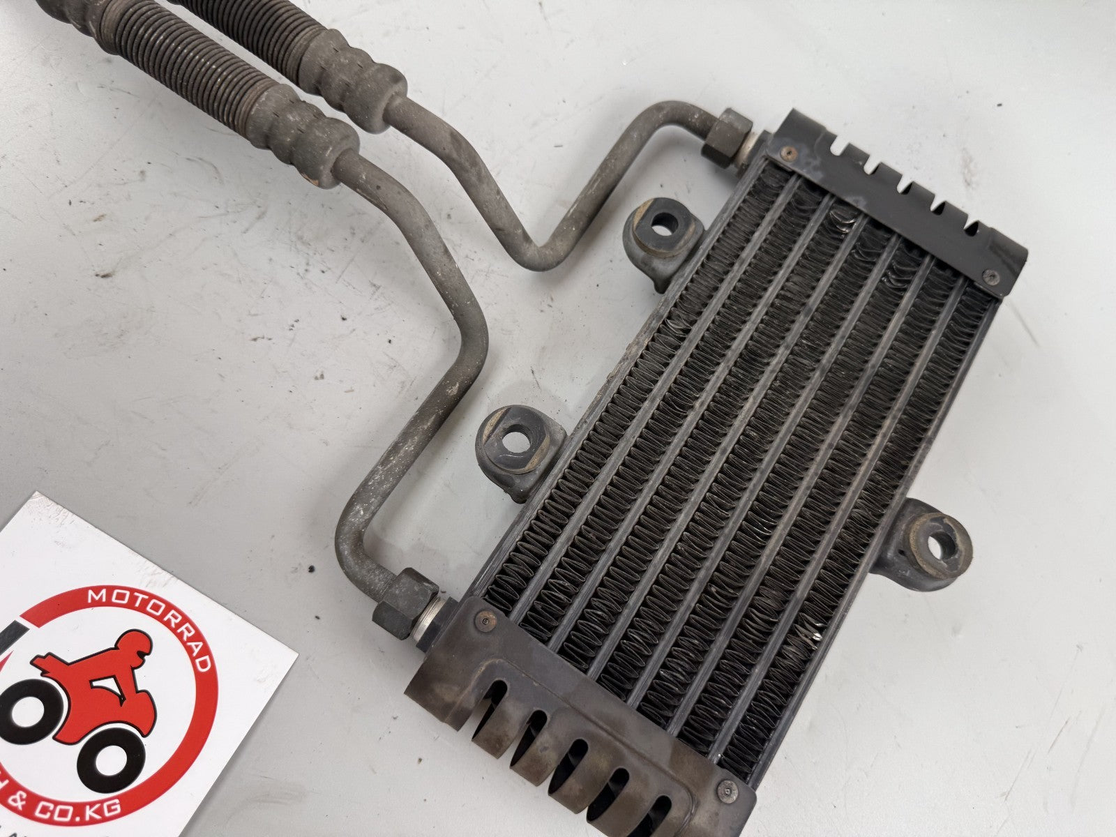 Kawasaki ZR-7 ZR750F5 Ölkühler Oilkühler Motor Engine