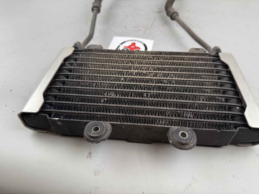 Suzuki GSX750 AE Inazuma Seitendeckel Sidecover Abdeckung Deckel Verkleidung