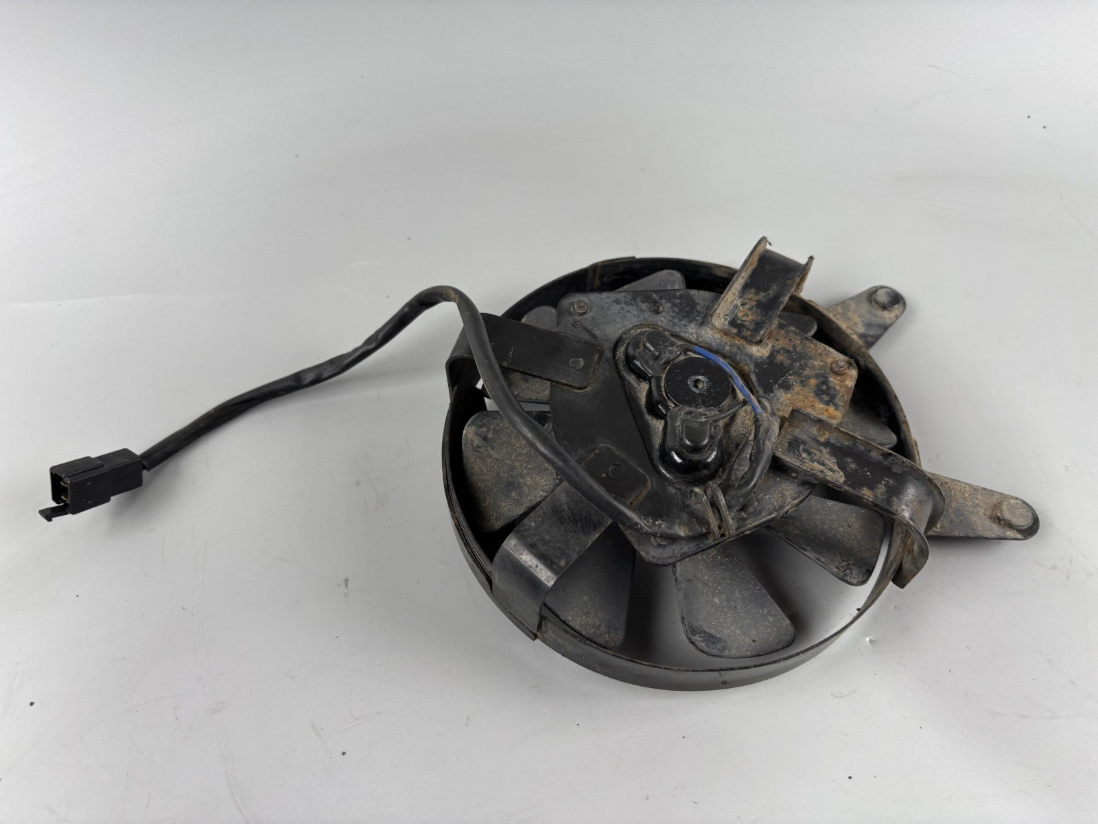 Yamaha FZS600 Fazer RJ02 Ventilator Kühlung Lüfter