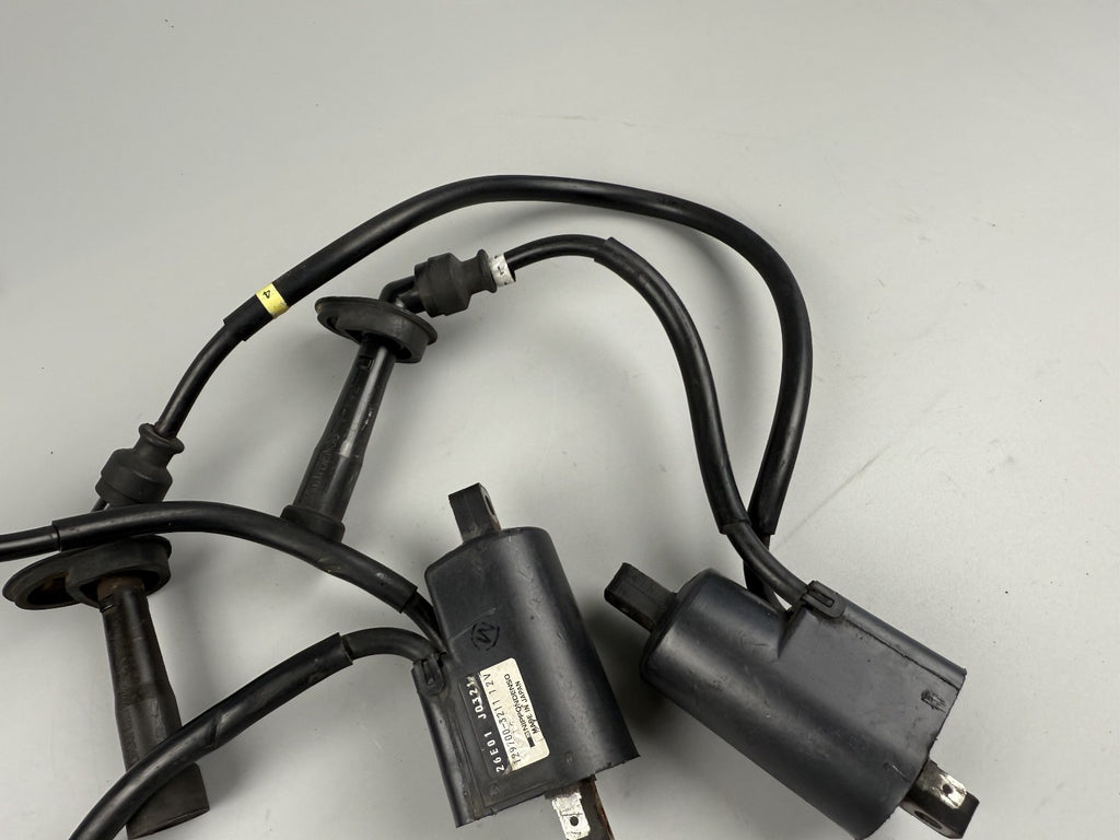 Suzuki GSF600 GN77B Zündspulen ignition Zündstecker Zündkabel Electric Engine
