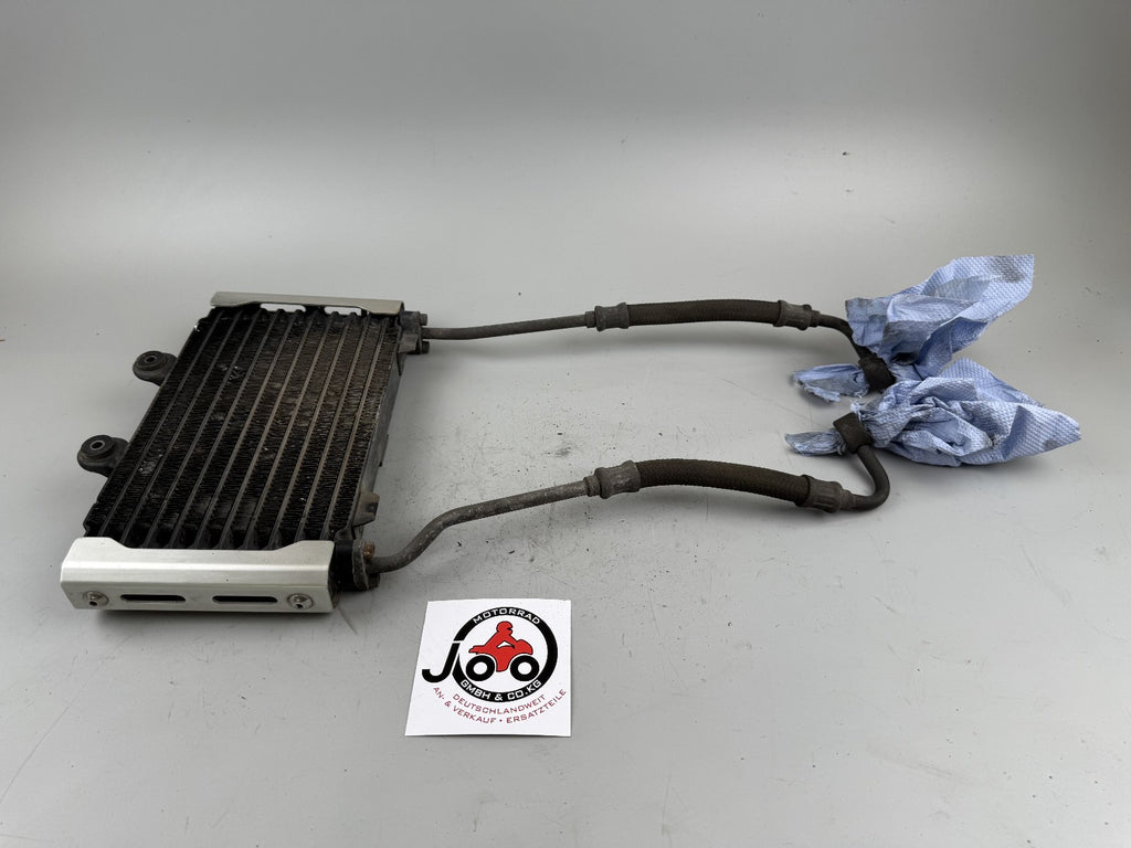 Suzuki GSX750 AE Inazuma Seitendeckel Sidecover Abdeckung Deckel Verkleidung