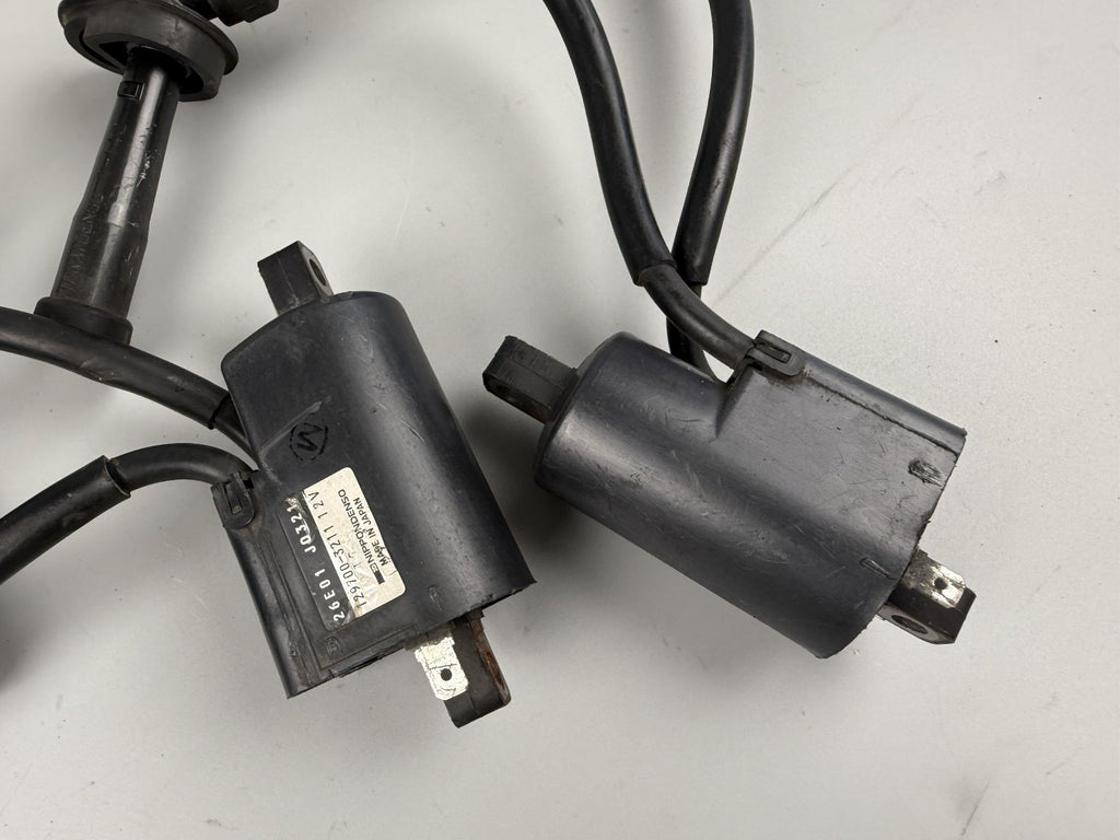 Suzuki GSF600 GN77B Zündspulen ignition Zündstecker Zündkabel Electric Engine